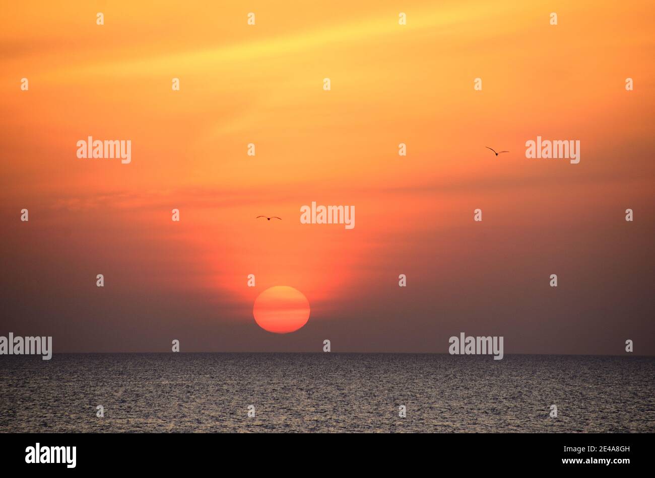 Schöne bunte Sonnenaufgang und zwei Vögel auf See in Ägypten Stockfoto