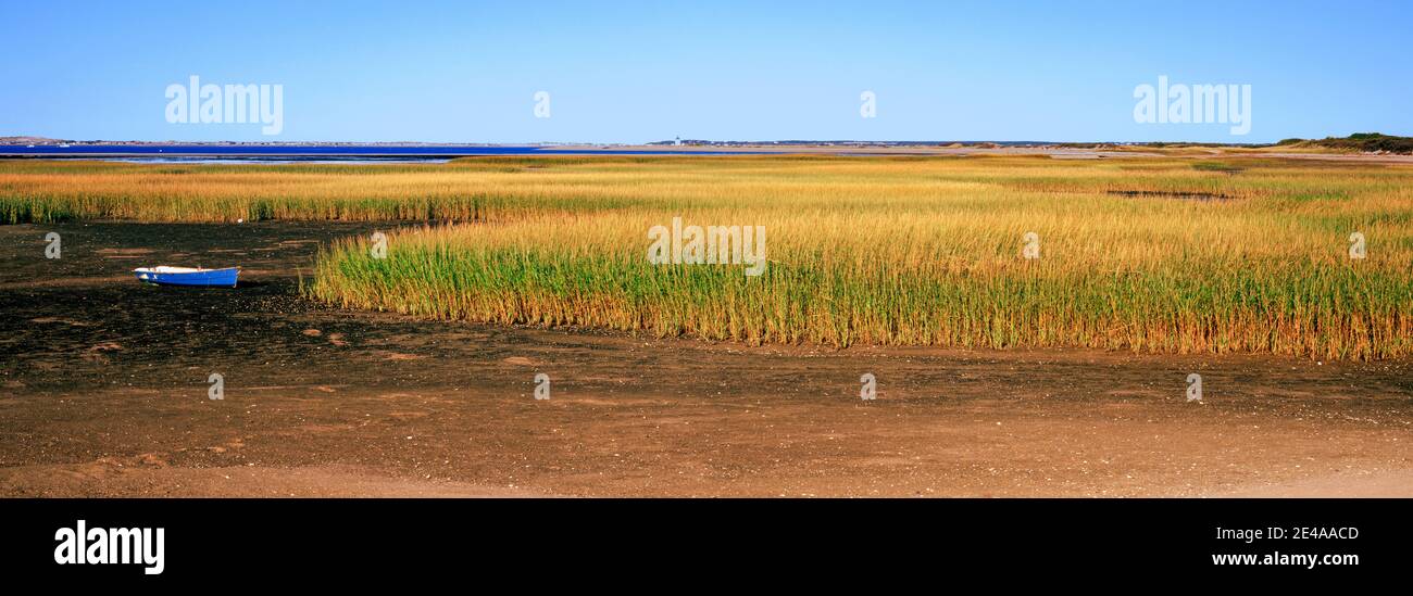 Ansicht von Crop in Field, Cape Cod, Massachusetts, USA Stockfoto