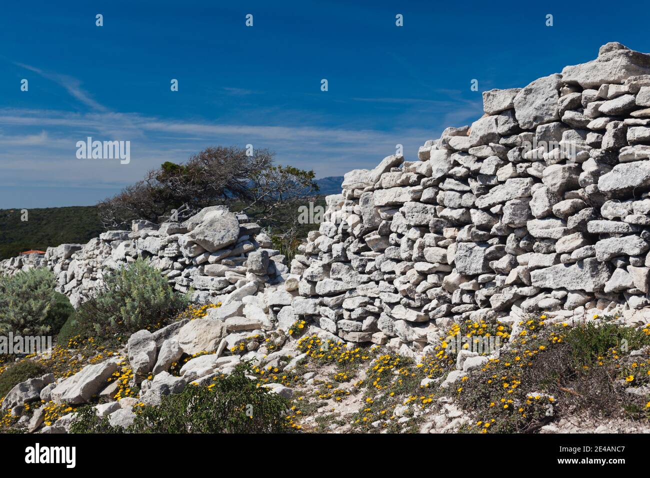 Ruinen einer Steinmauer, Circuit des Falaises, Bonifacio, Corse-Du-Sud, Korsika, Frankreich Stockfoto