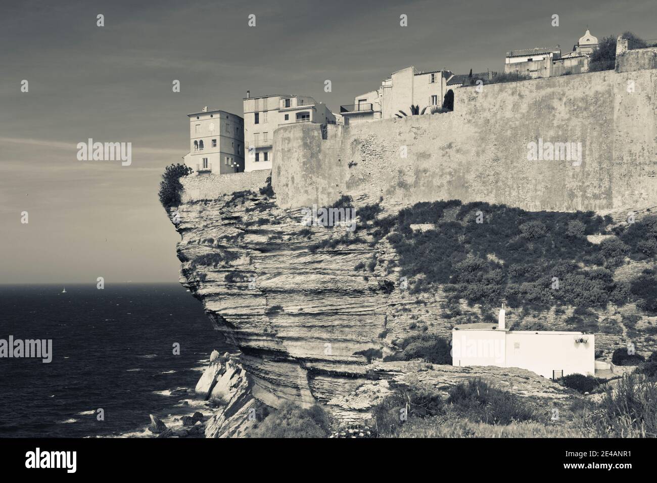 Häuser auf einer Klippe, Bonifacio, Corse-Du-Sud, Korsika, Frankreich Stockfoto