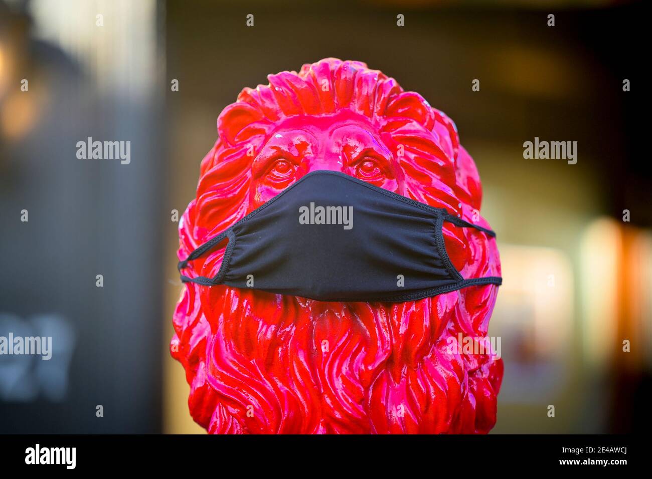 Roter Löwe mit Covid Maske, Vancouver, British Columbia, Kanada Stockfoto