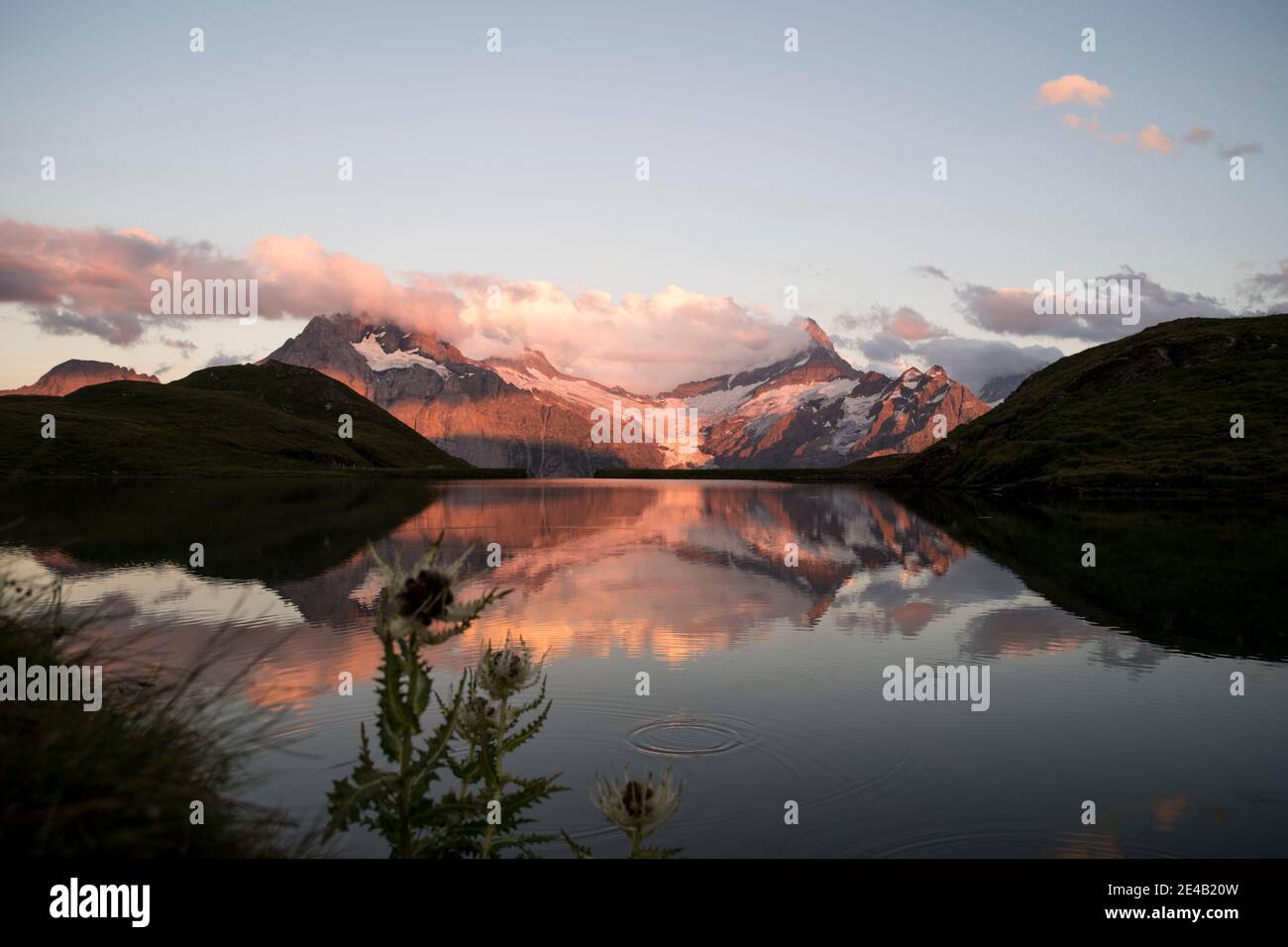 Bergsee im Sonnenuntergang mit Spiegelung und Disteln Stockfoto