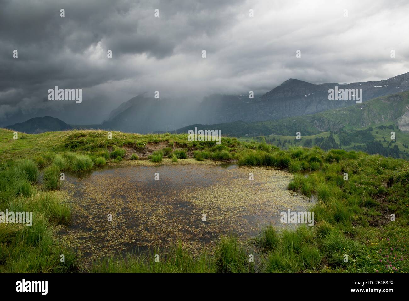 Pools mit Grasbüschel, regnerisch mit Berggipfeln in den Wolken Stockfoto