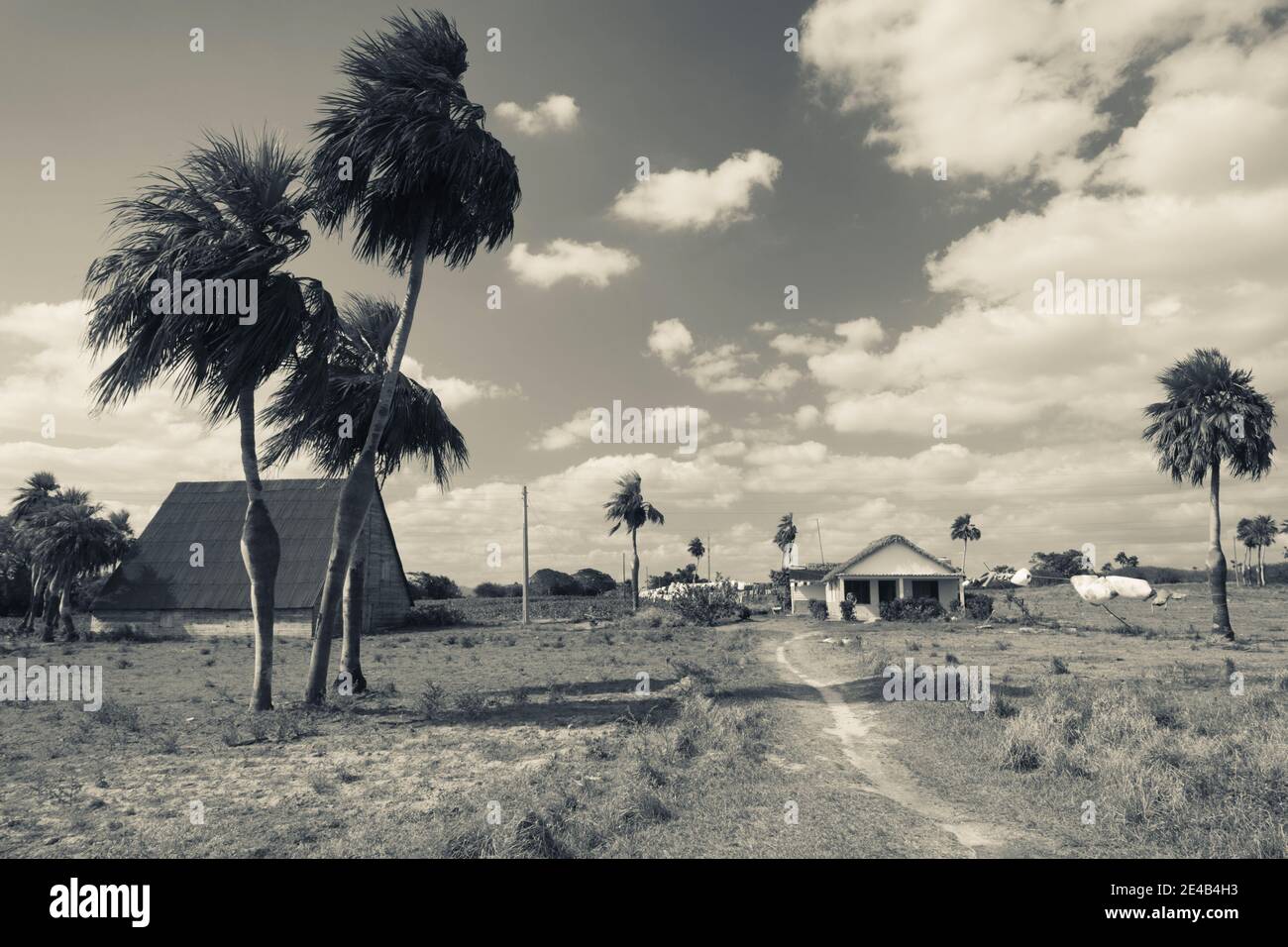 Farm am Straßenrand von Pinar Del Rio Highway, Pinar Del Rio, Kuba Stockfoto