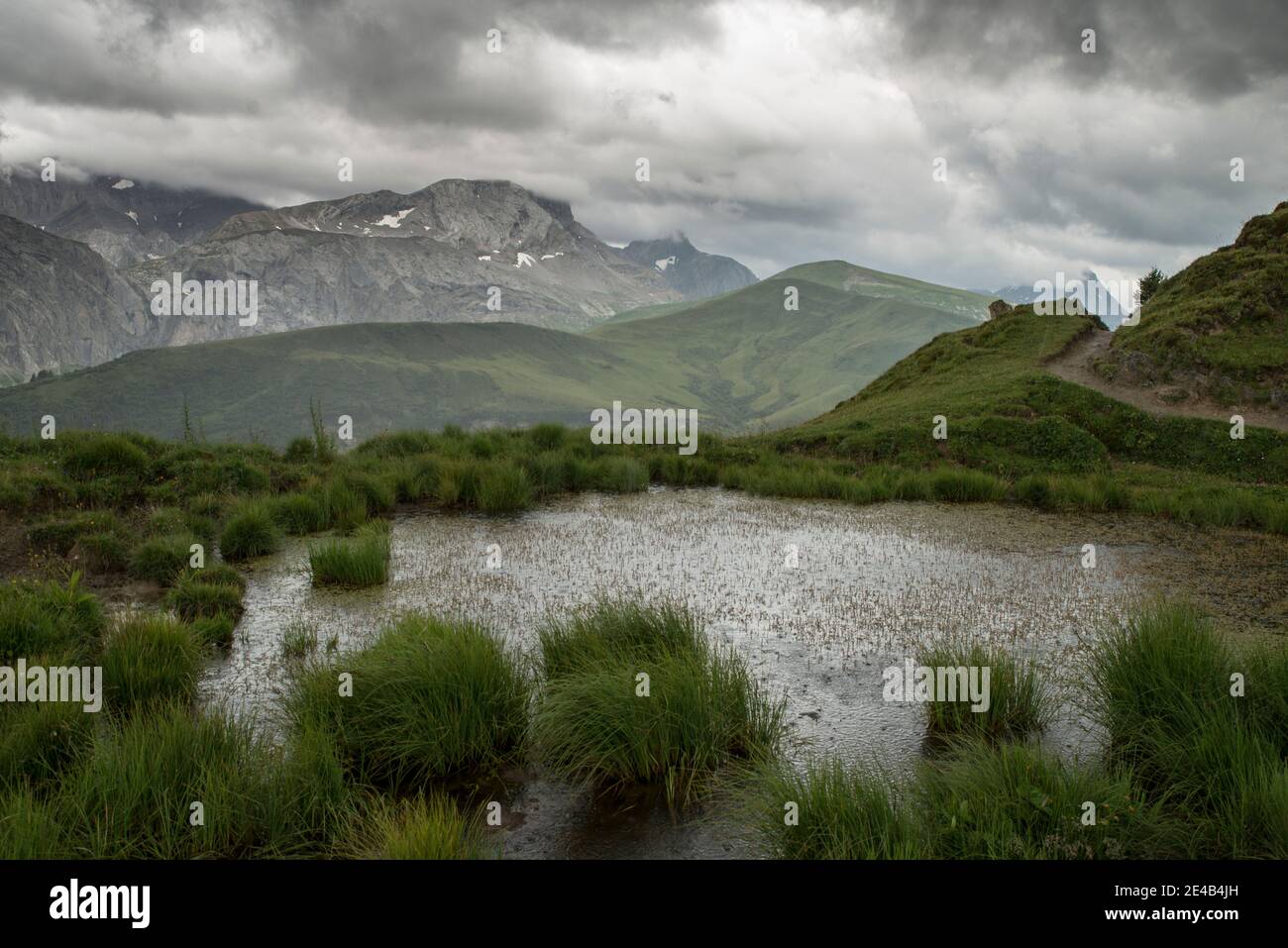 Teich mit Grasbüschel im Regen, wolkige Berge im Hintergrund Stockfoto