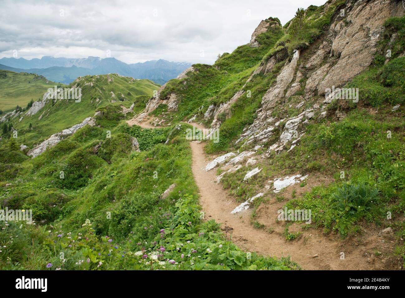 Einsamer Wanderweg in hügeligem Gelände, bewölkt Stockfoto