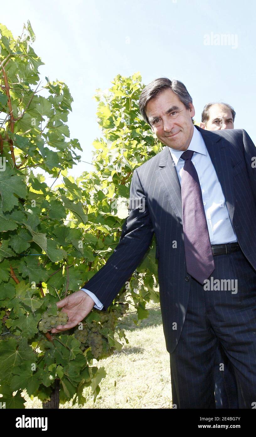 Der französische Premierminister Francois Fillon nimmt am 8. september 2009 an der Ernte in einem Schloss Turtaut in Saint Sulpice de Pommiers in der Region Bordeaux, Frankreich, Teil. Foto von Patrick Bernard/ABACAPRESS.COM Stockfoto