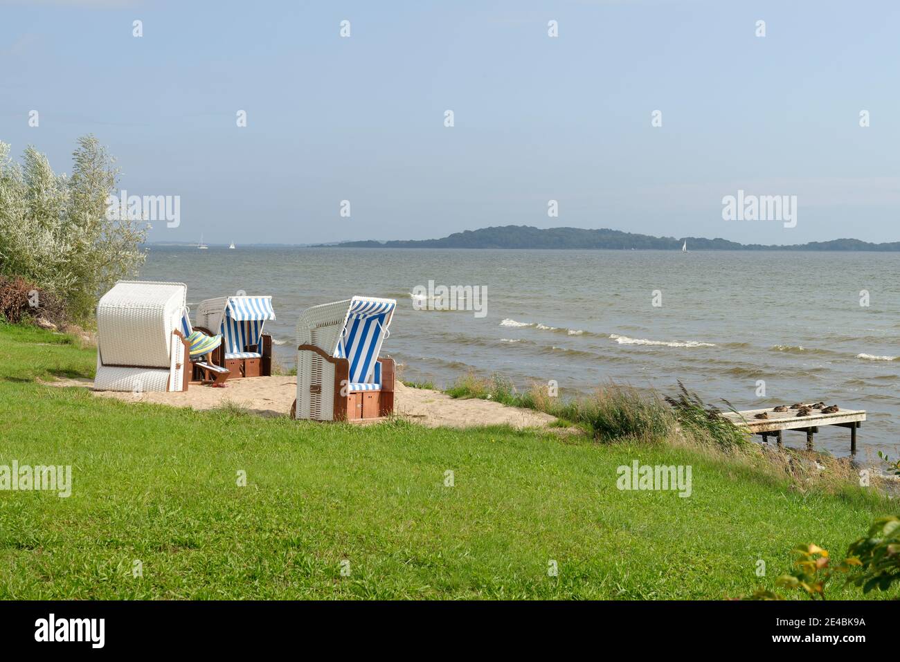 Greifswalder Buchtküste zwischen Neuendorf und Lauterbach, Landkreis Putbus, Insel Rügen, Mecklenburg-Vorpommern, Deutschland Stockfoto