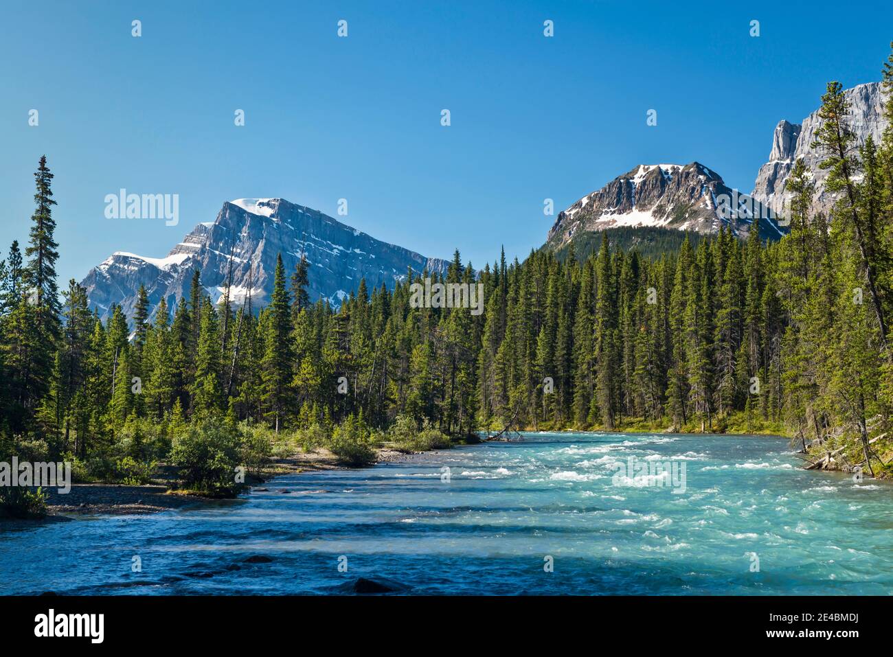 Blick auf den Mistaya River, Mount Patterson, Waterfowl Lakes, Alberta, Kanada Stockfoto