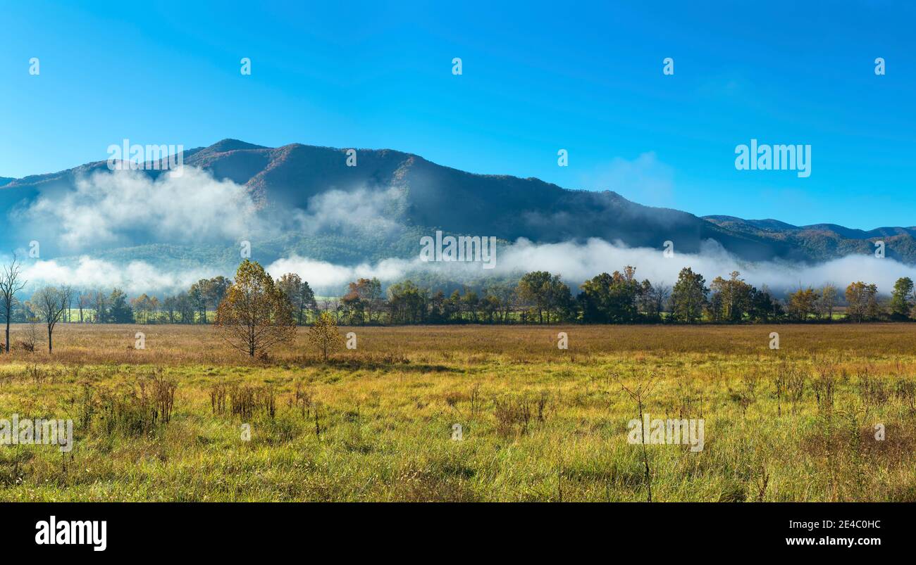 Nebel über den Bergen, Cades Cove, Great Smoky Mountains National Park, Tennessee, USA Stockfoto