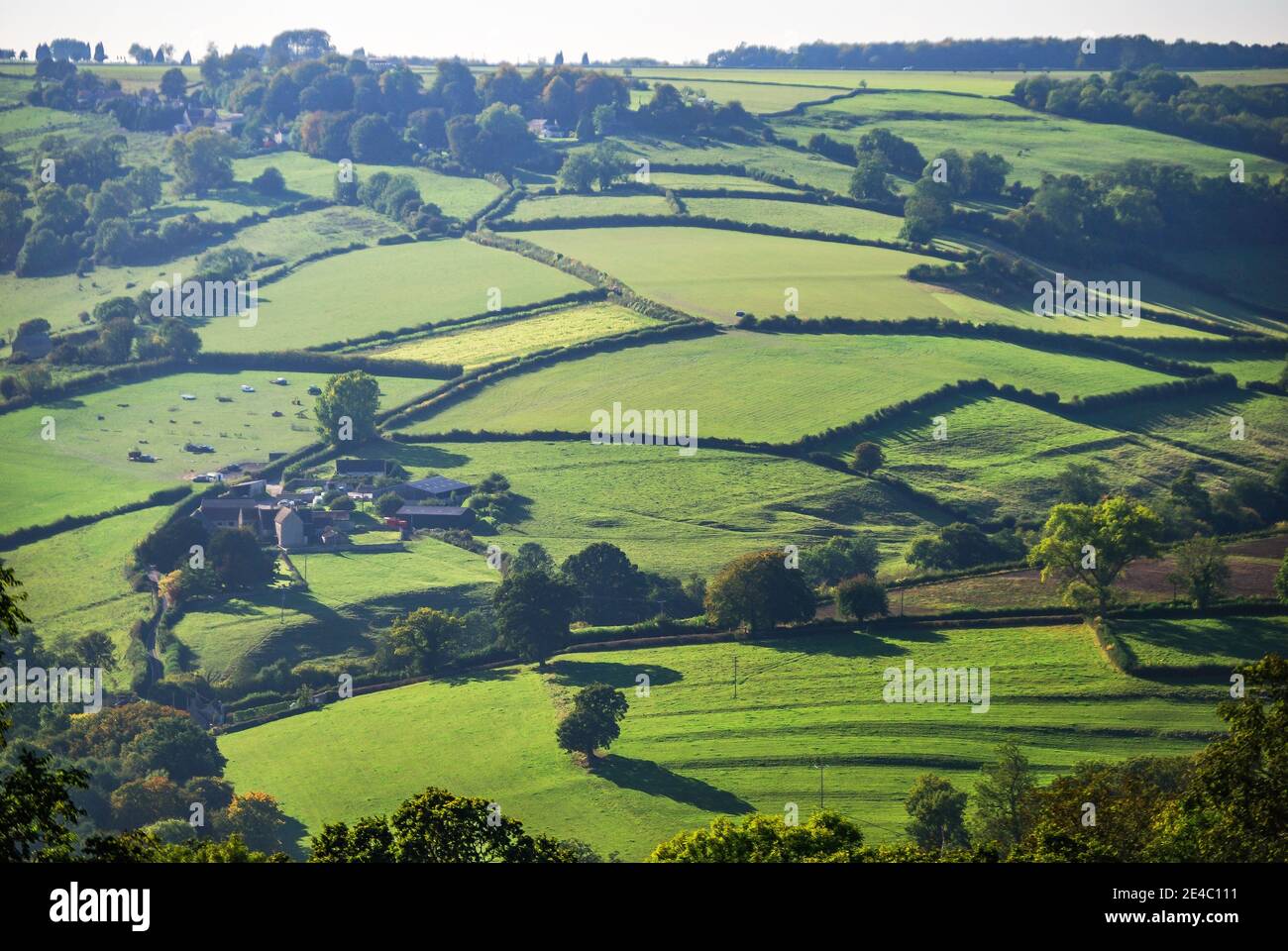 Sanften Hügellandschaft in der Nähe von Bath, Somerset, England, Vereinigtes Königreich Stockfoto