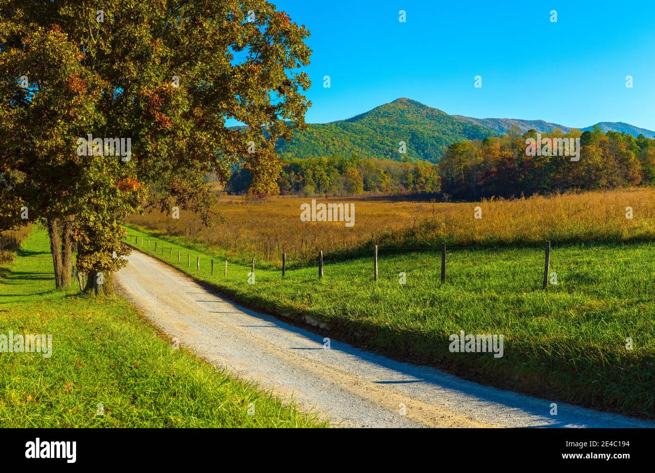 Unbefestigte Straße, die durch ein Feld führt, Hyatt Lane, Cades Cove, Great Smoky Mountains National Park, Tennessee, USA Stockfoto