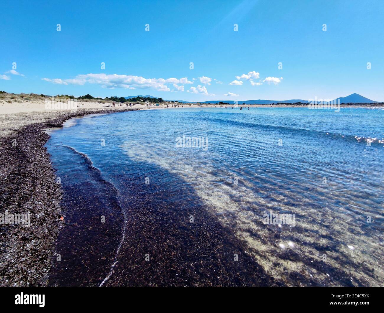 Die Lagune Voidokilia ist ein sehr beliebter Badestrand, Algen wird auf der Nordseite, Messenia, Peloponnes, Griechenland gespült Stockfoto