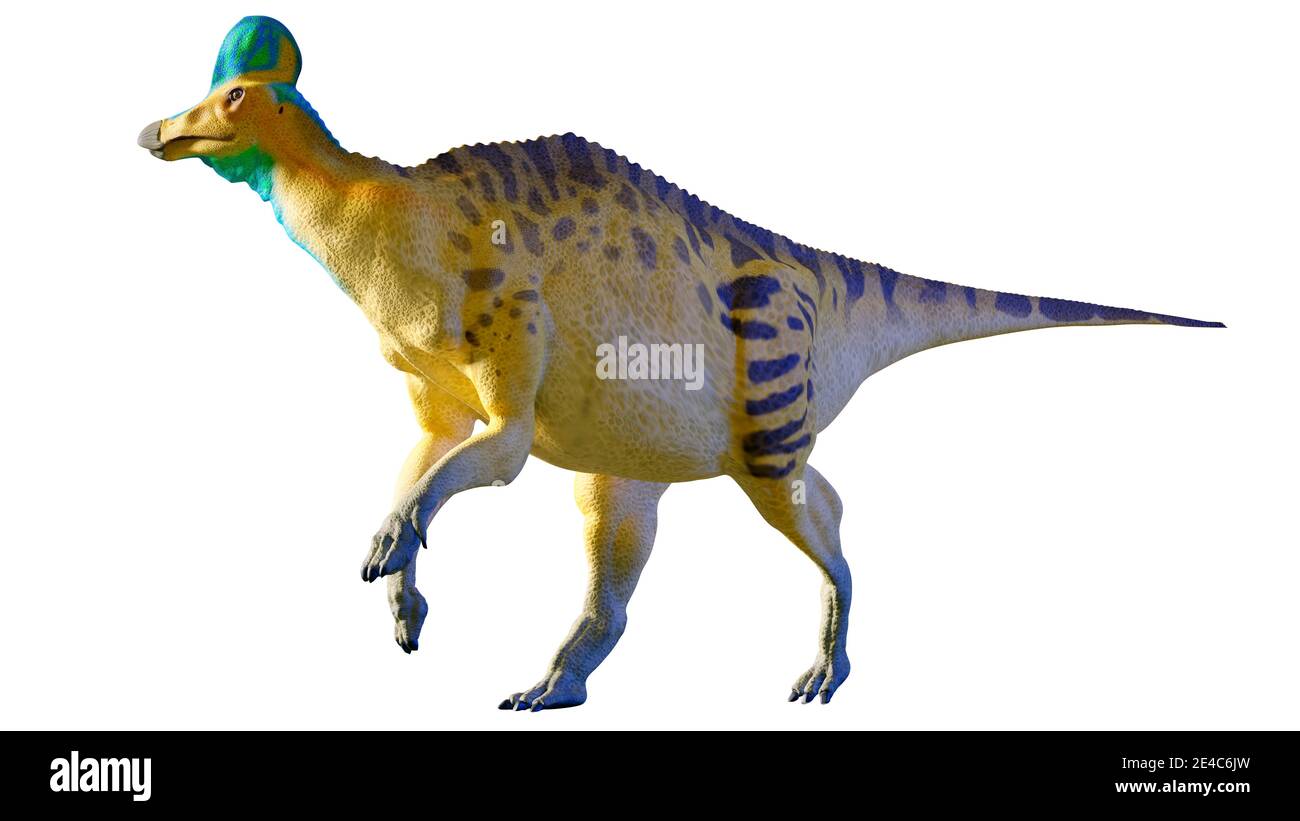 Corythosaurus Ist Eine Gattung Von Hadrosaurus Dh Duck Billed Dinosaurier Planeten Esser Die In Dem Was Jetzt Nordamerika Gegen Ende Der Lebte Stockfotografie Alamy