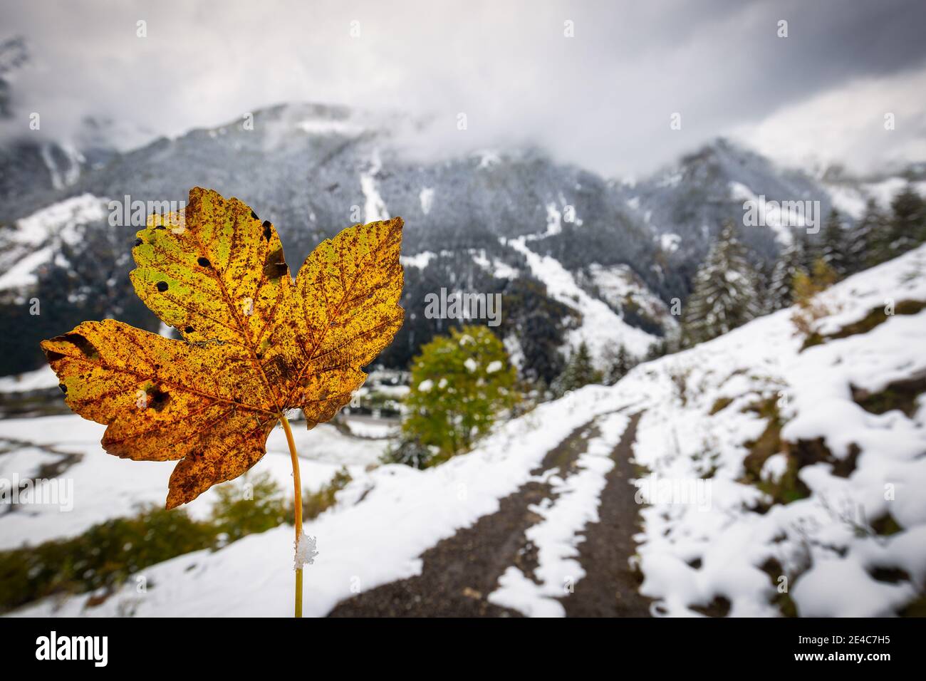 Wunderschöne Berglandschaft mit Schnee bei Fusch in Österreich Stockfoto