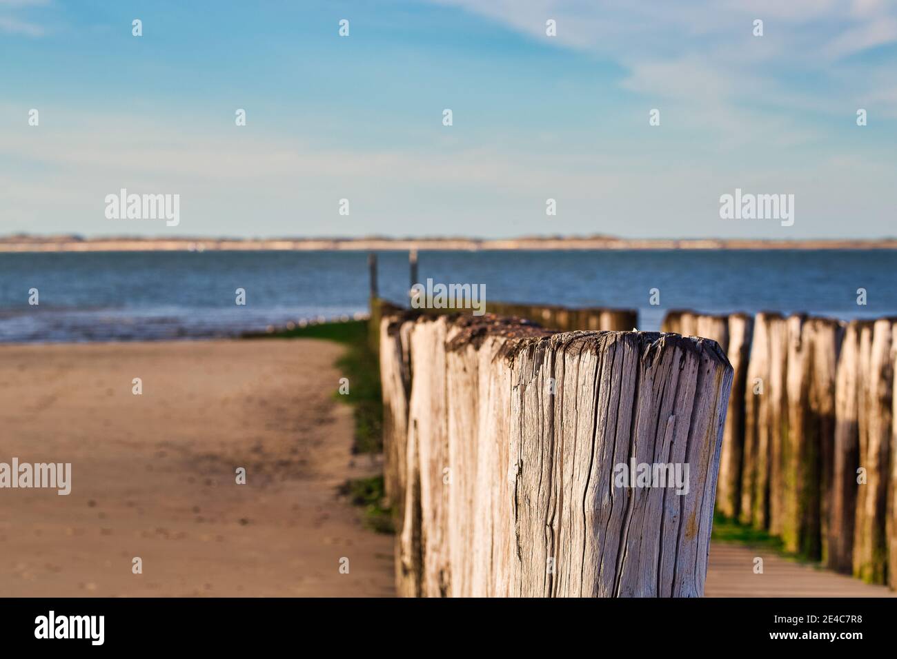 Der Strand des niederländischen Dorfes Breskens an einem warmen Sommertag mit Ebbe. Stockfoto