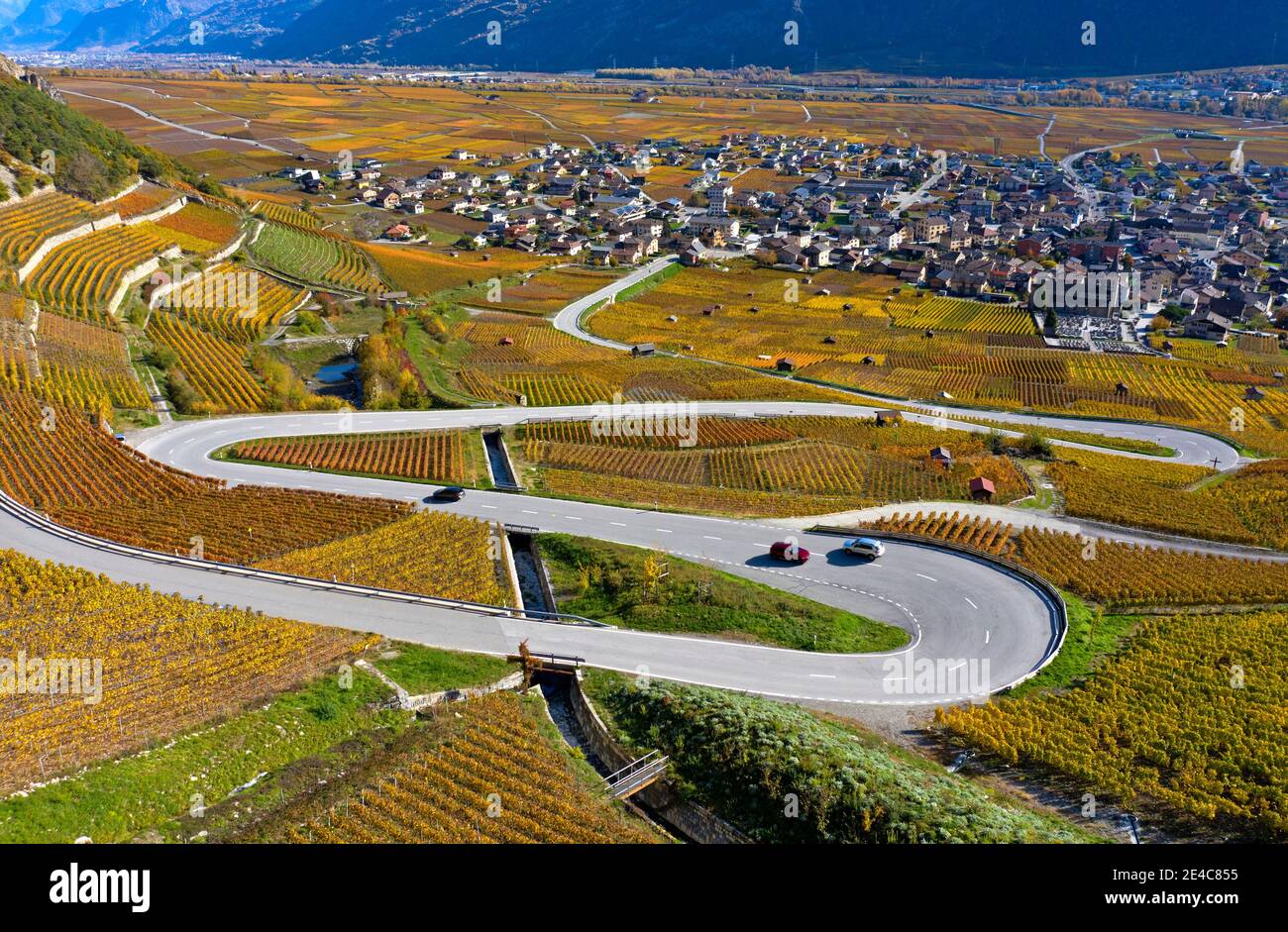 Eine Serpentinenstraße schlängelt sich durch die herbstlichen Weinberge im Weinbaugebiet bei Leytron, Wallis, Schweiz Stockfoto