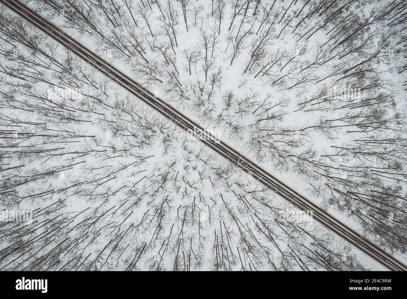 Straße durch den Winterwald Stockfoto