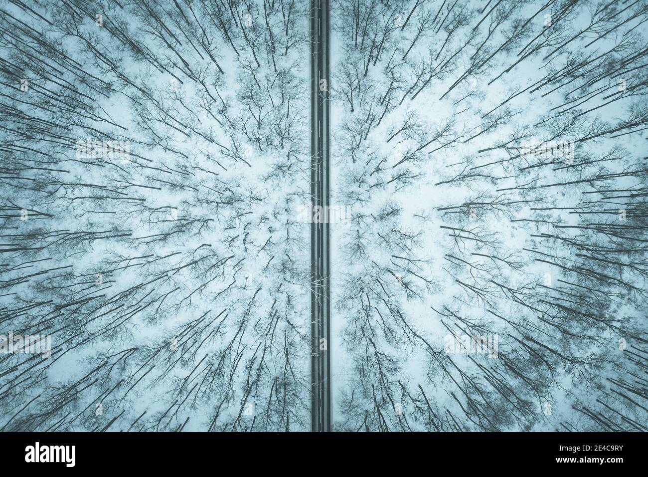 Straße durch den Winterwald Stockfoto