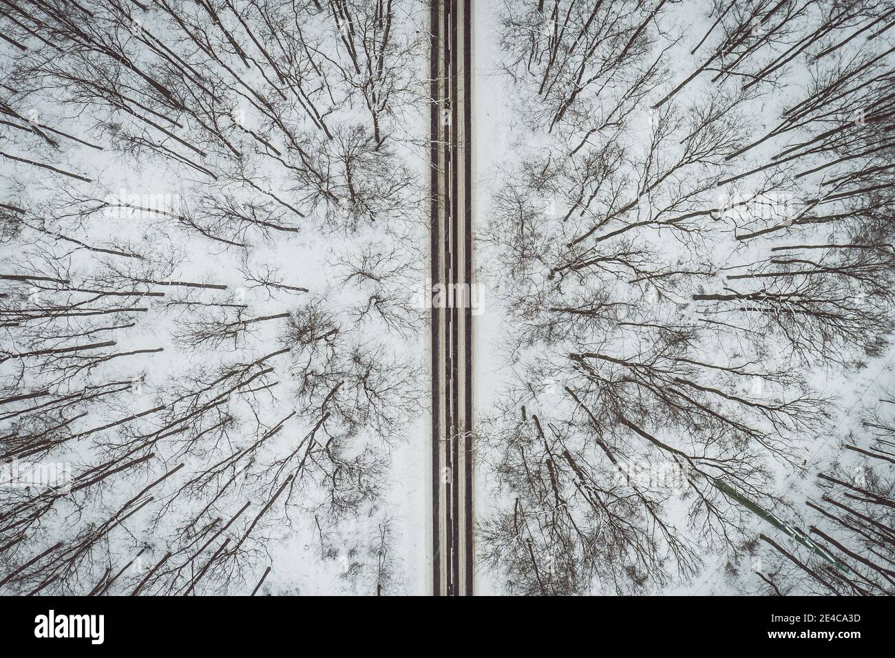 Straße durch den Winterwald Stockfoto