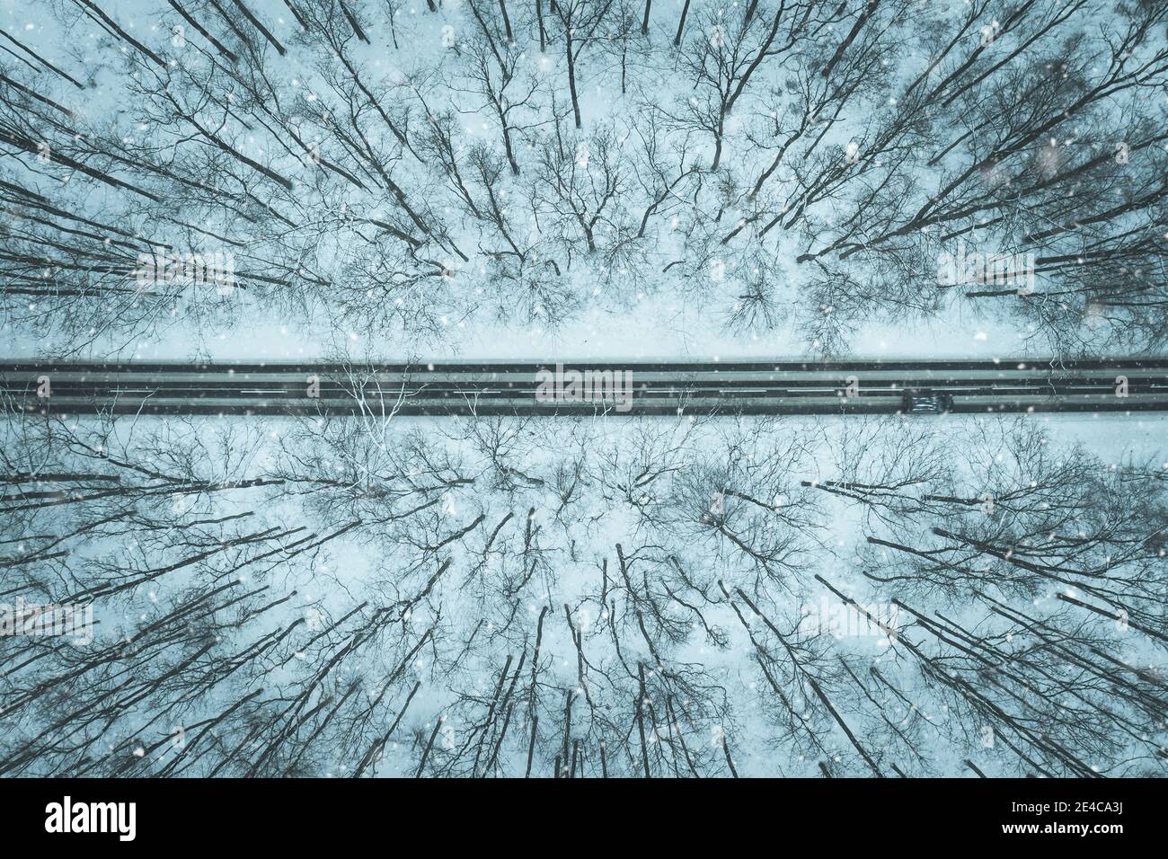 Straße durch den Winterwald Stockfoto