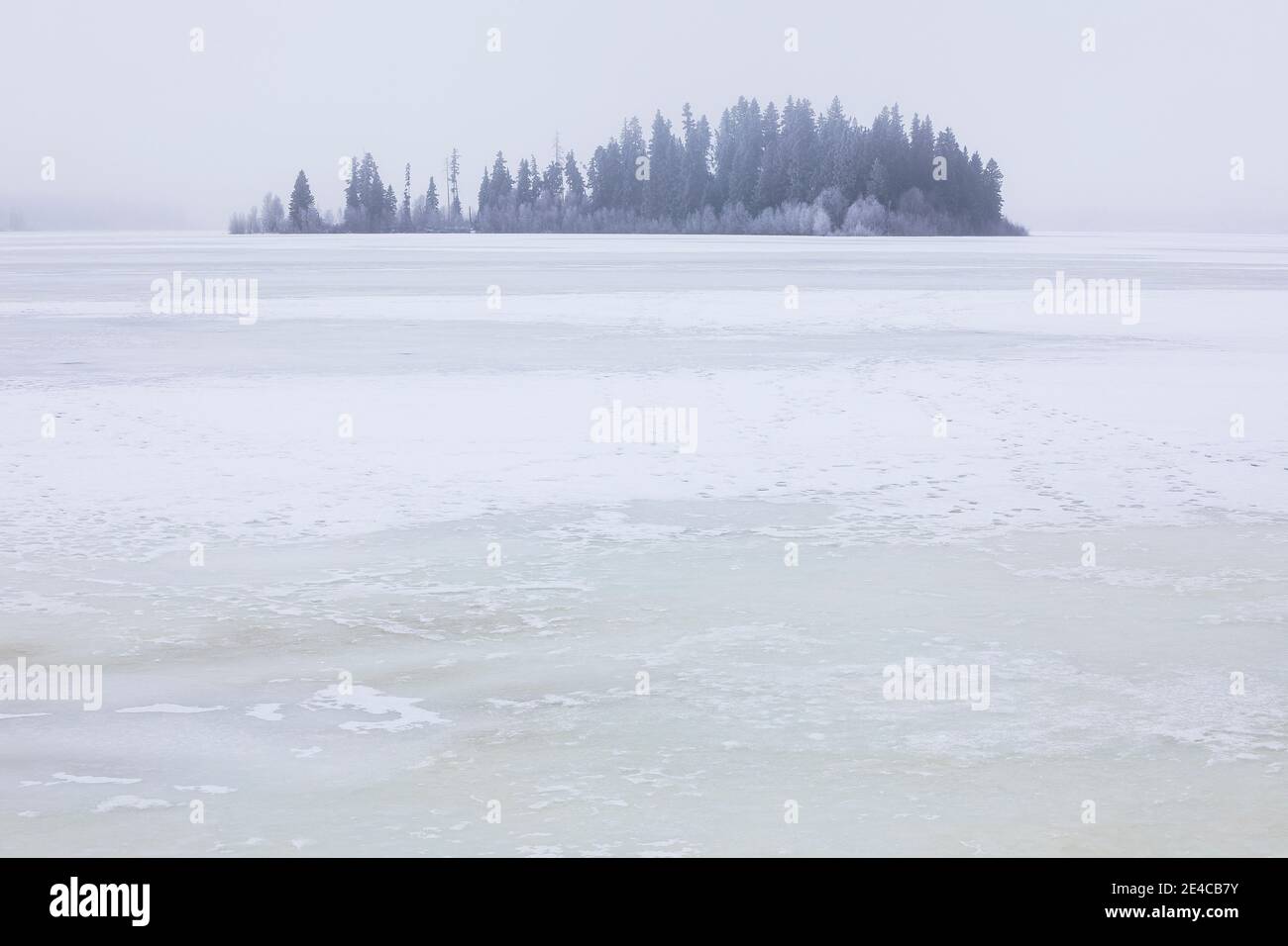 Astotin Lake, Elk Island National Park im Winter Stockfoto