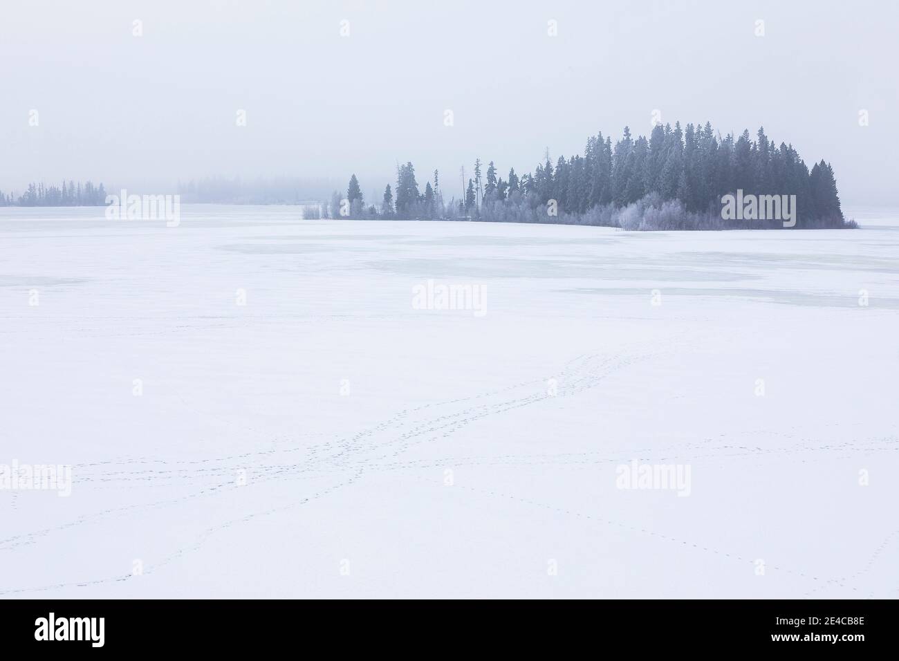 Elk island national park Fotos und Bildmaterial in hoher Auflösung Alamy