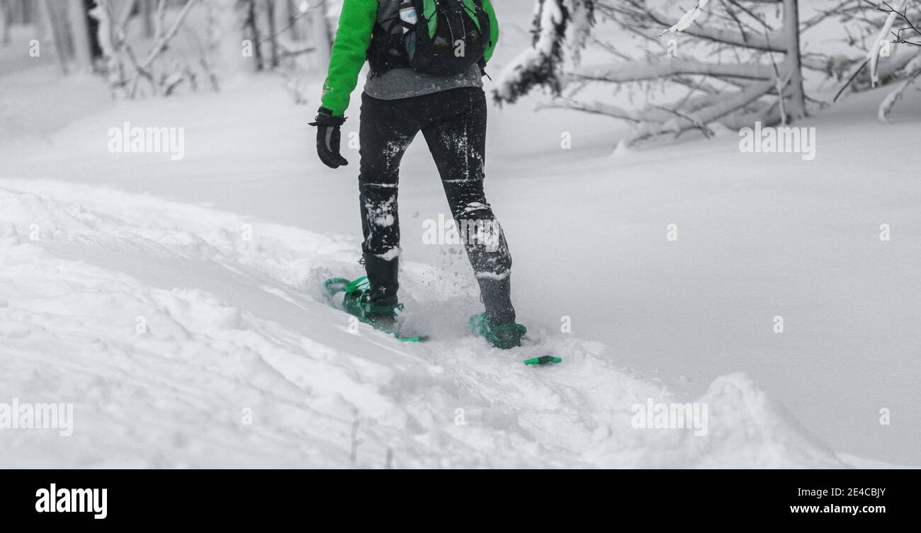 Schneeschuh Nahaufnahme einer Wanderin beim Schneeschuhwandern im Schnee. Winter Outdoor-Aktivitäten, Wintersport Stockfoto