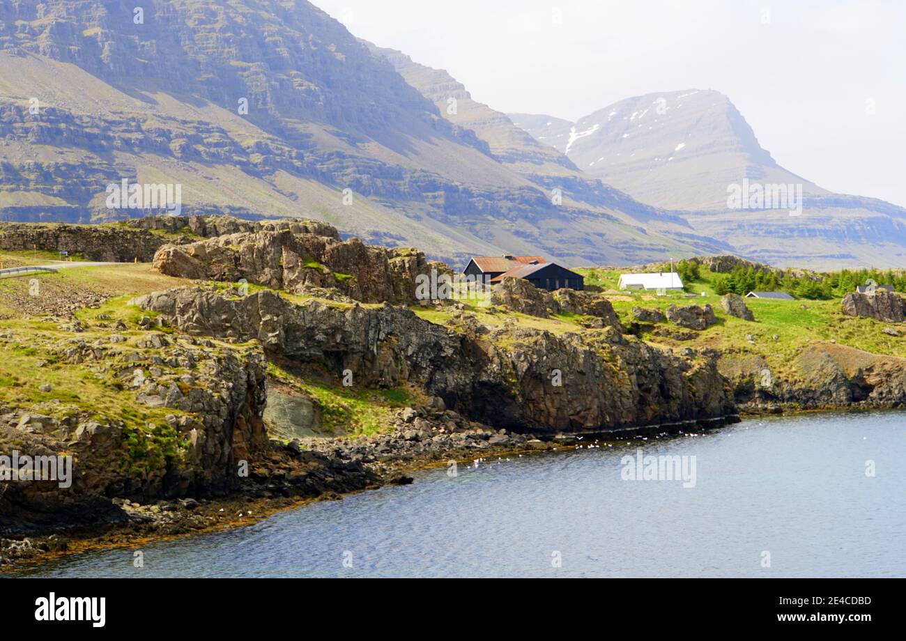 Der Blick auf die Klippen am Meer in der Nähe der Ostfjorde, Island im Sommer Stockfoto