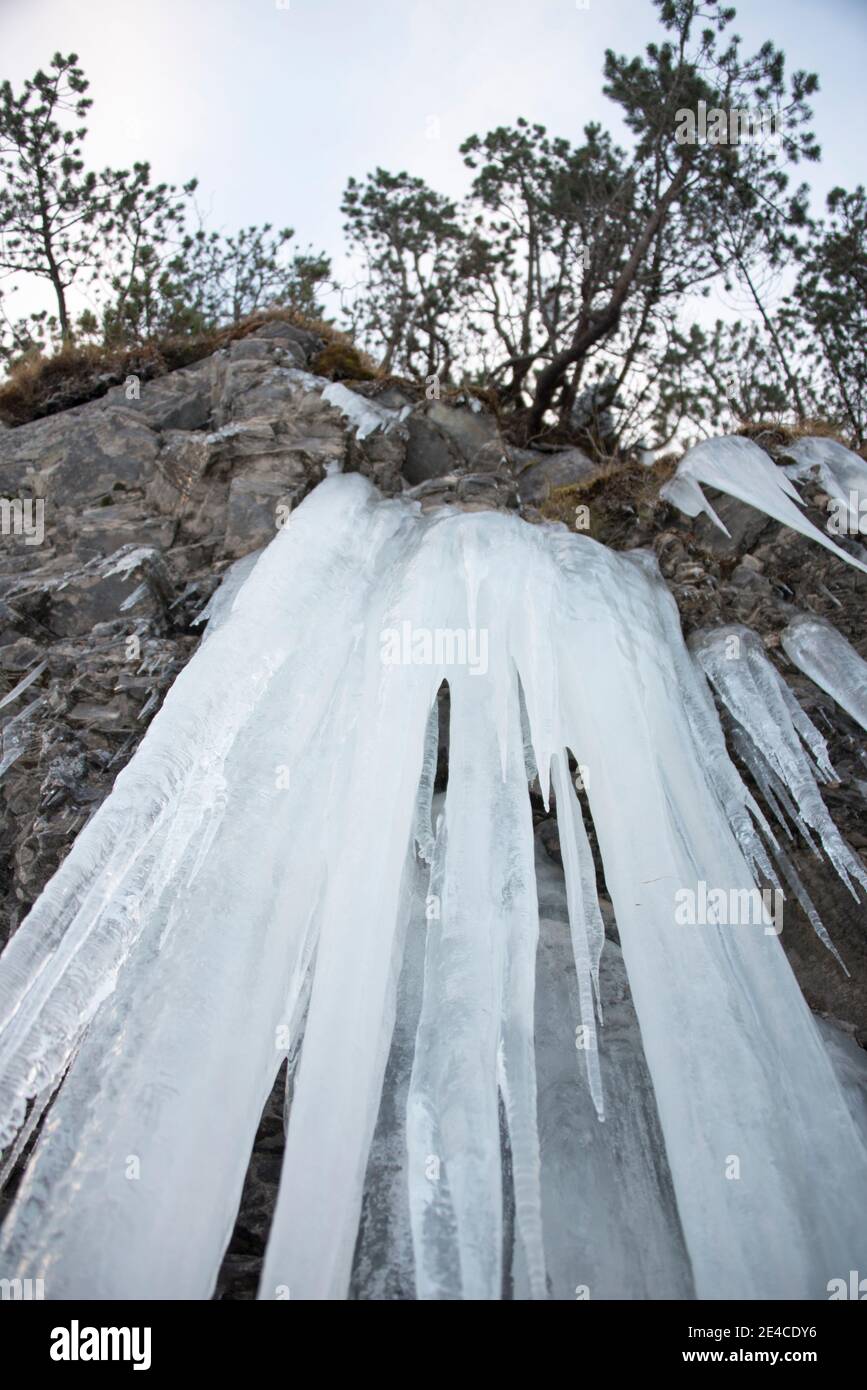 Eiszapfen auf Felswand Stockfoto