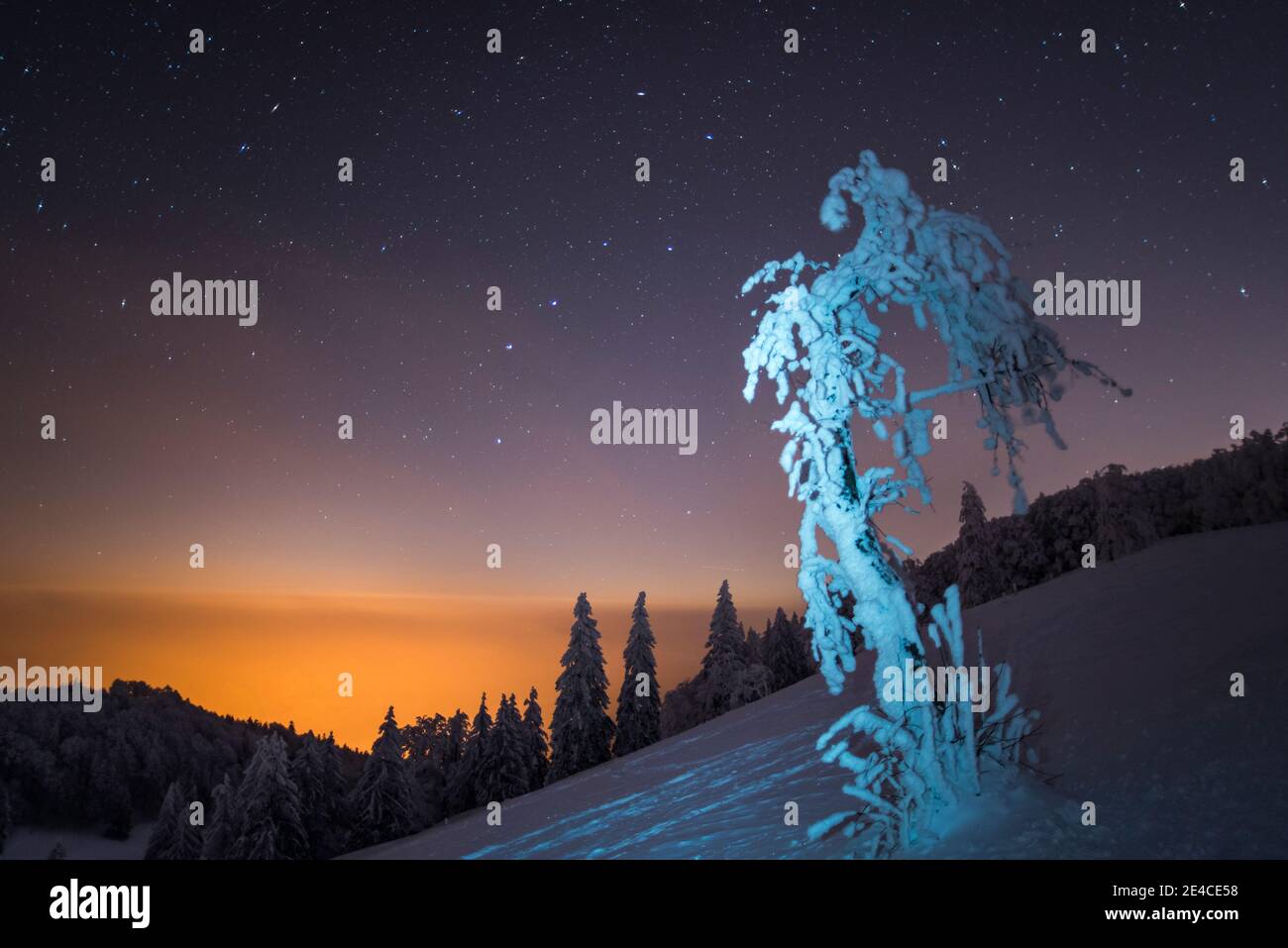 Weihnachtsstimmung, frisch verschneite Landschaft unter dem Sternenhimmel Stockfoto