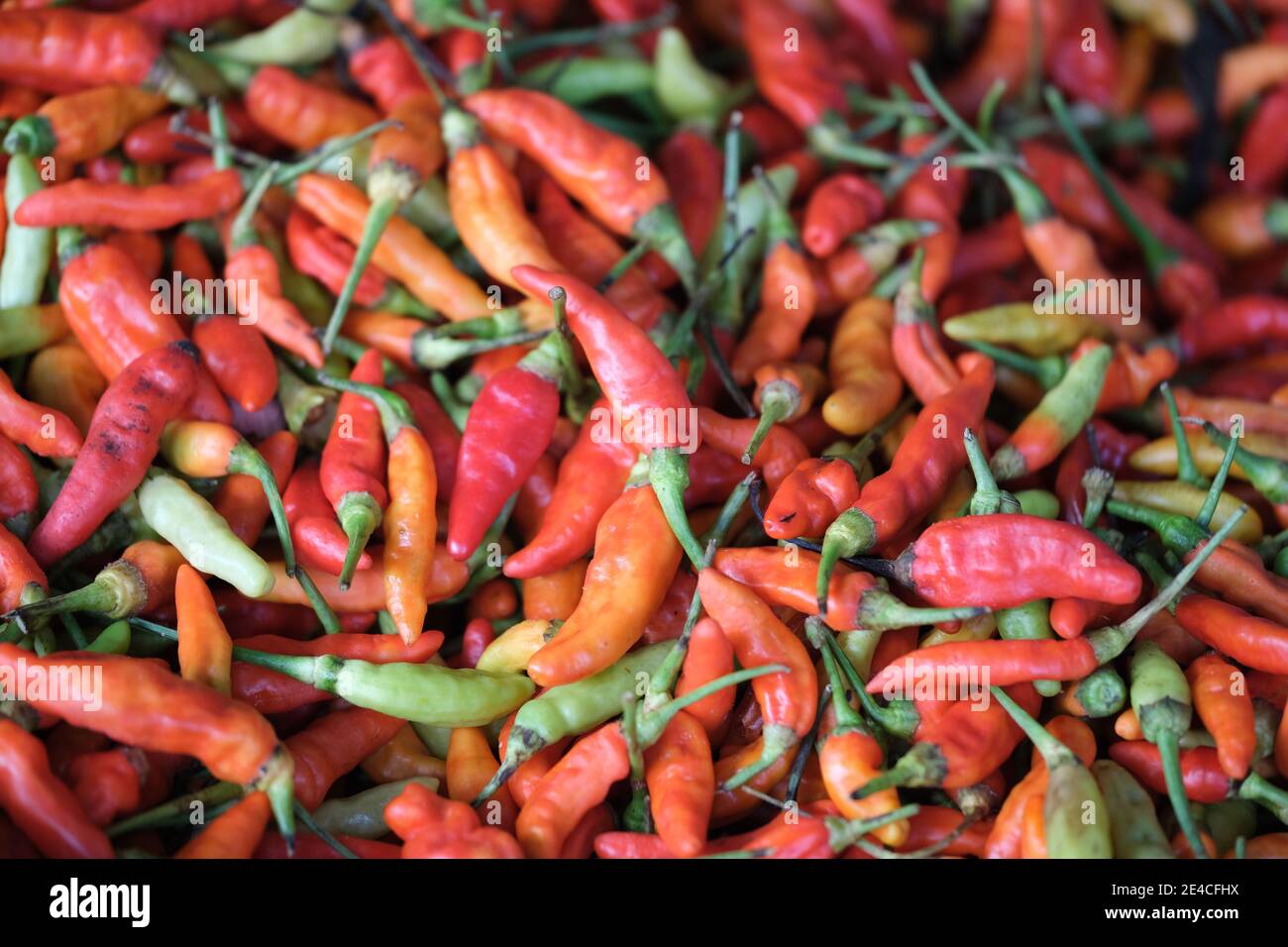 Indonesien Bali Negara - Pasar Umum Negara - Staatliche Öffentlichkeit Markt - gemischte Chilischoten Stockfoto