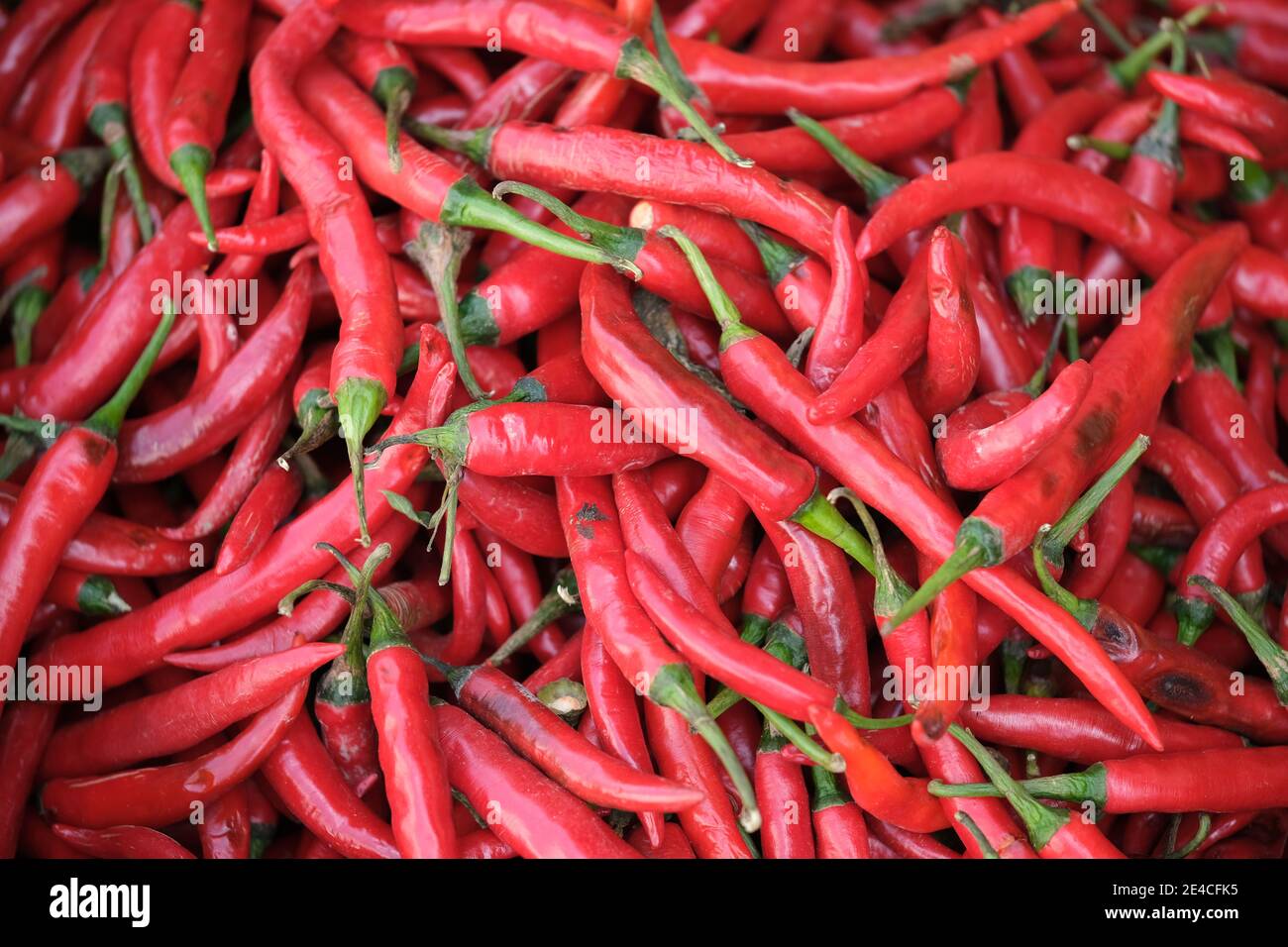 Indonesien Bali Negara - Pasar Umum Negara - Staatliche Öffentlichkeit Market - heiße rote Chilischoten Stockfoto