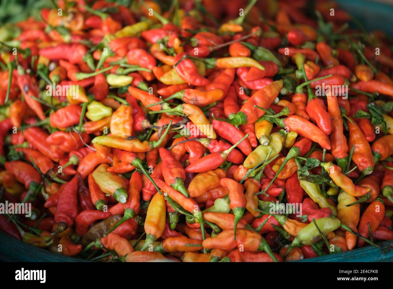 Indonesien Bali Negara - Pasar Umum Negara - Staatliche Öffentlichkeit Markt - gemischte Chilischoten Stockfoto