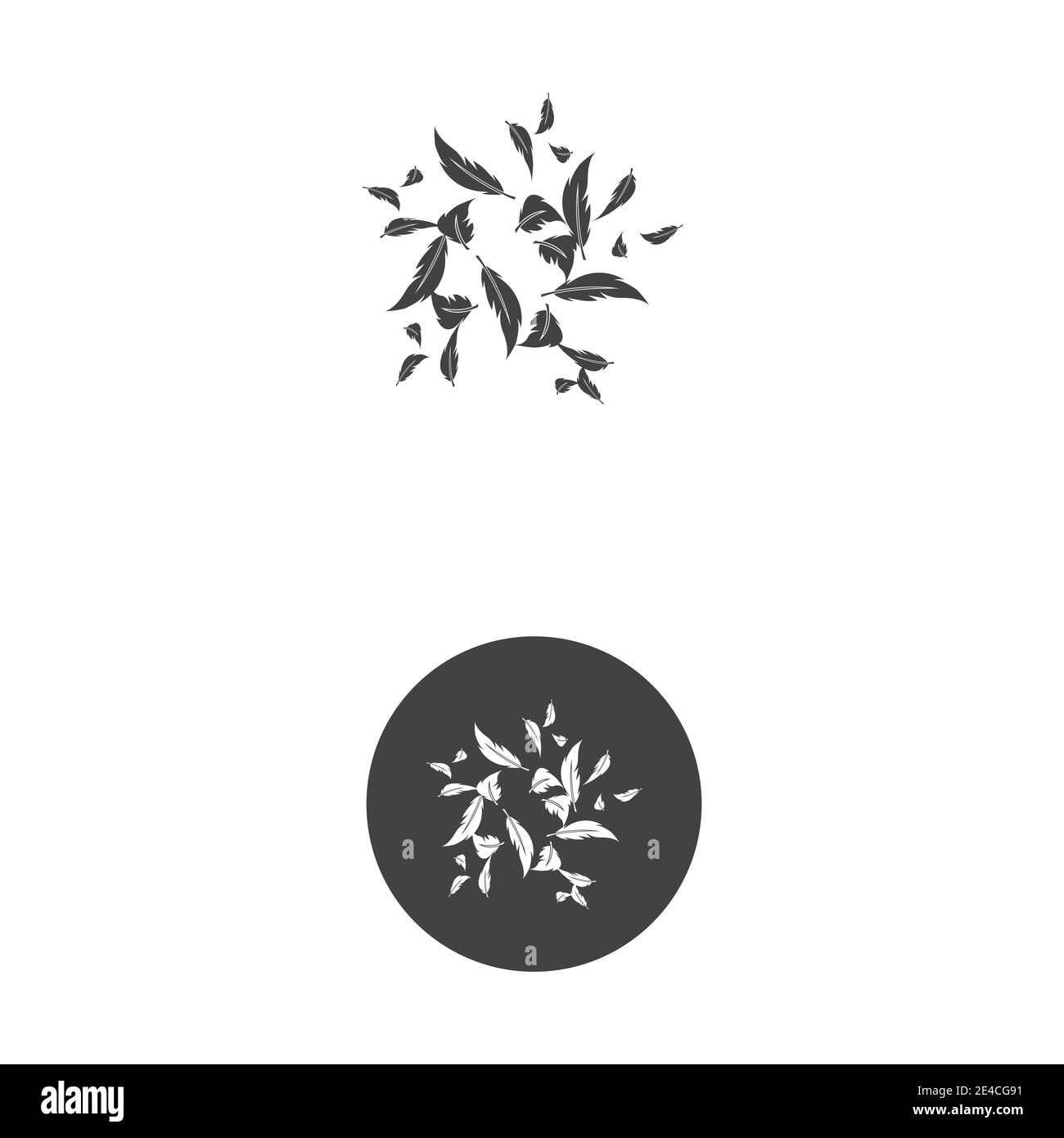 Federn Logo Vorlage Vektor Symbol Natur Stock Vektor