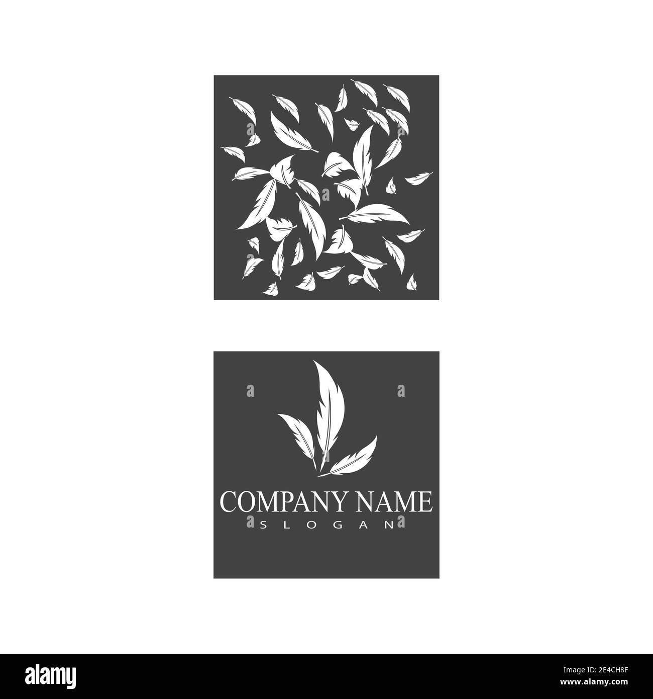 Federn Logo Vorlage Vektor Symbol Natur Stock Vektor