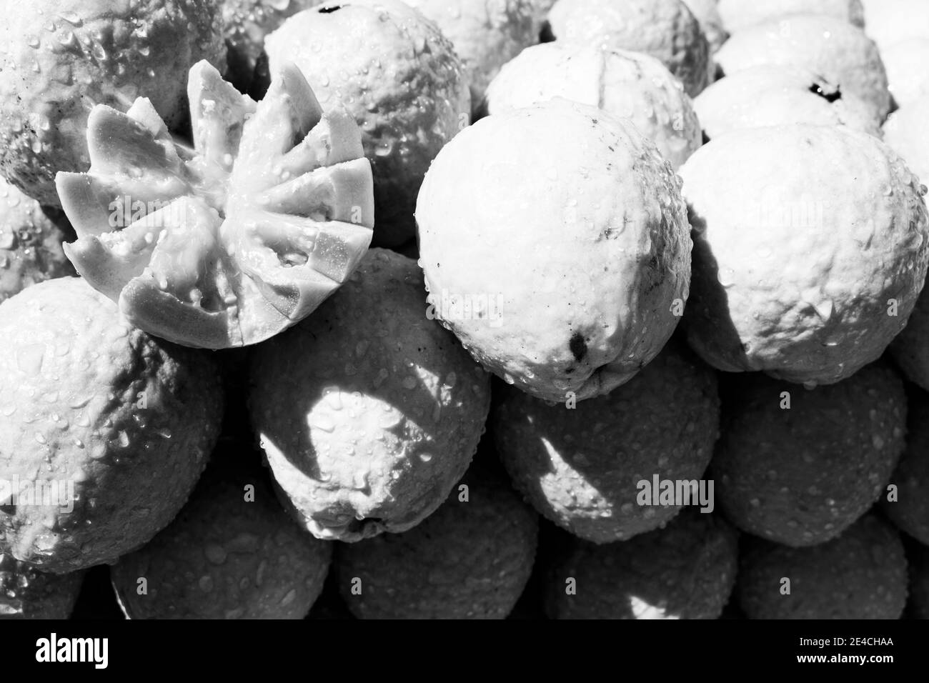 Ein Stapel nasser Gavas Früchte zusammen mit einem schönen Oben in Sternform geriffelt (Schwarzweiß-Version) Stockfoto