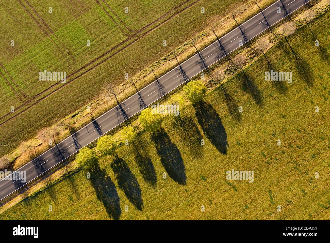 Deutschland, Thüringen, Großbreitenbach, Willmersdorf, Straße, Felder, Bäume, Baumschatten, Sidelight, Draufsicht, Luftaufnahme Stockfoto