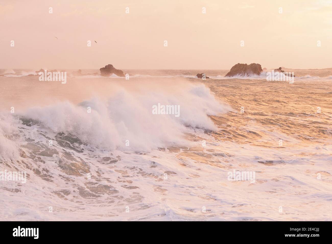 Riesige Wellen bei Sonnenaufgang während Storm Ciara auf Cap de la Hague, Auderville, Cotentin Peninsula, Normandie tobt Stockfoto