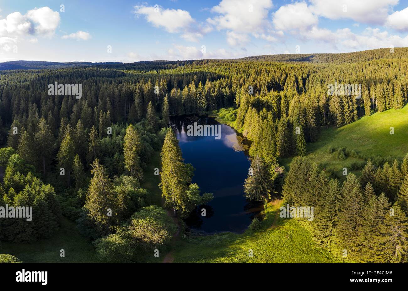 Deutschland, Thüringen, Großbreitenbach, Neustadt / Rstg, Teich, Wald, Bäume Stockfoto