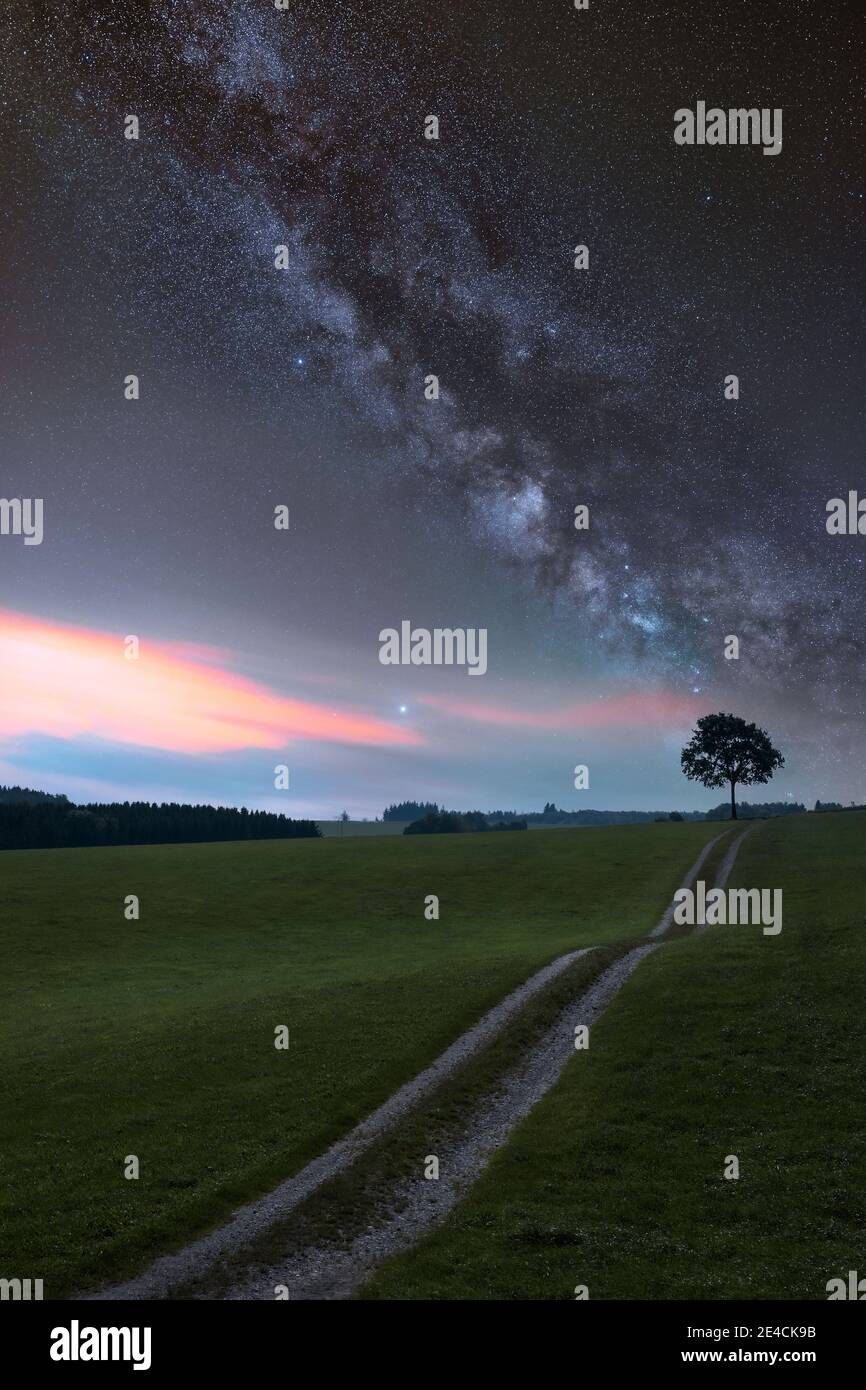 Traumlandschaft im Allgäu. Hügelige Landschaft mit einem einsamen Baum unter der Milchstraße - Änderung gemischt Tag und Nacht erschossen Stockfoto