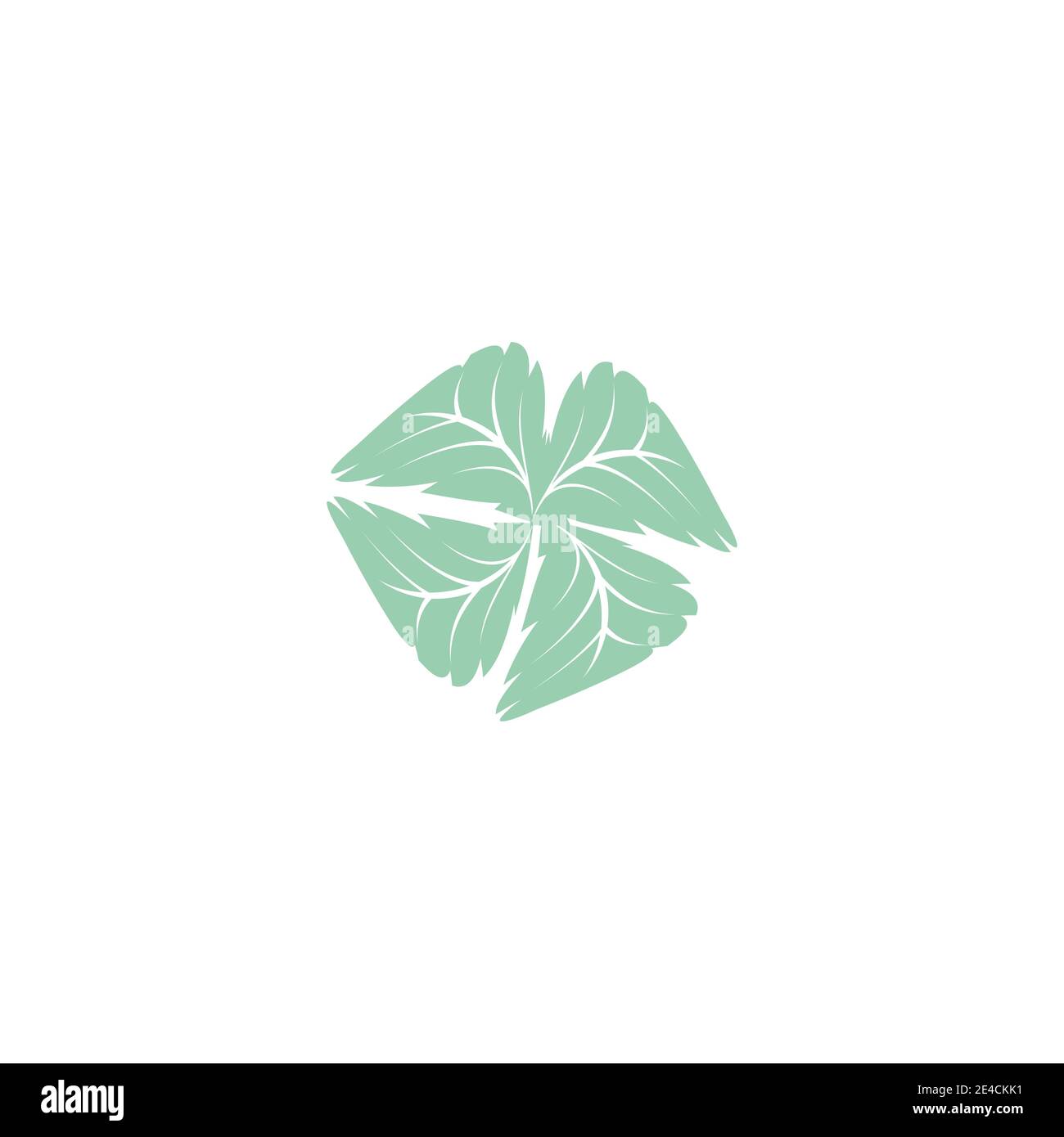 Blatt Mint Logo Vorlage Vektor Symbol Natur Stock Vektor