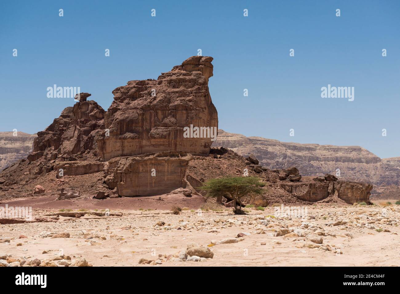 Naher Osten, Israel, Negev-Wüste, Timna Park Stockfoto