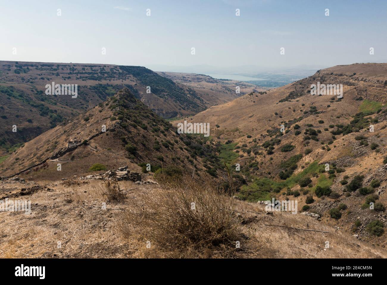 Naher Osten, Israel, Galiläa, Gamla Stockfoto