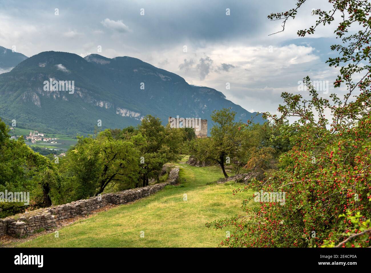 Montan, Provinz Bozen, Südtirol, Italien. Stockfoto