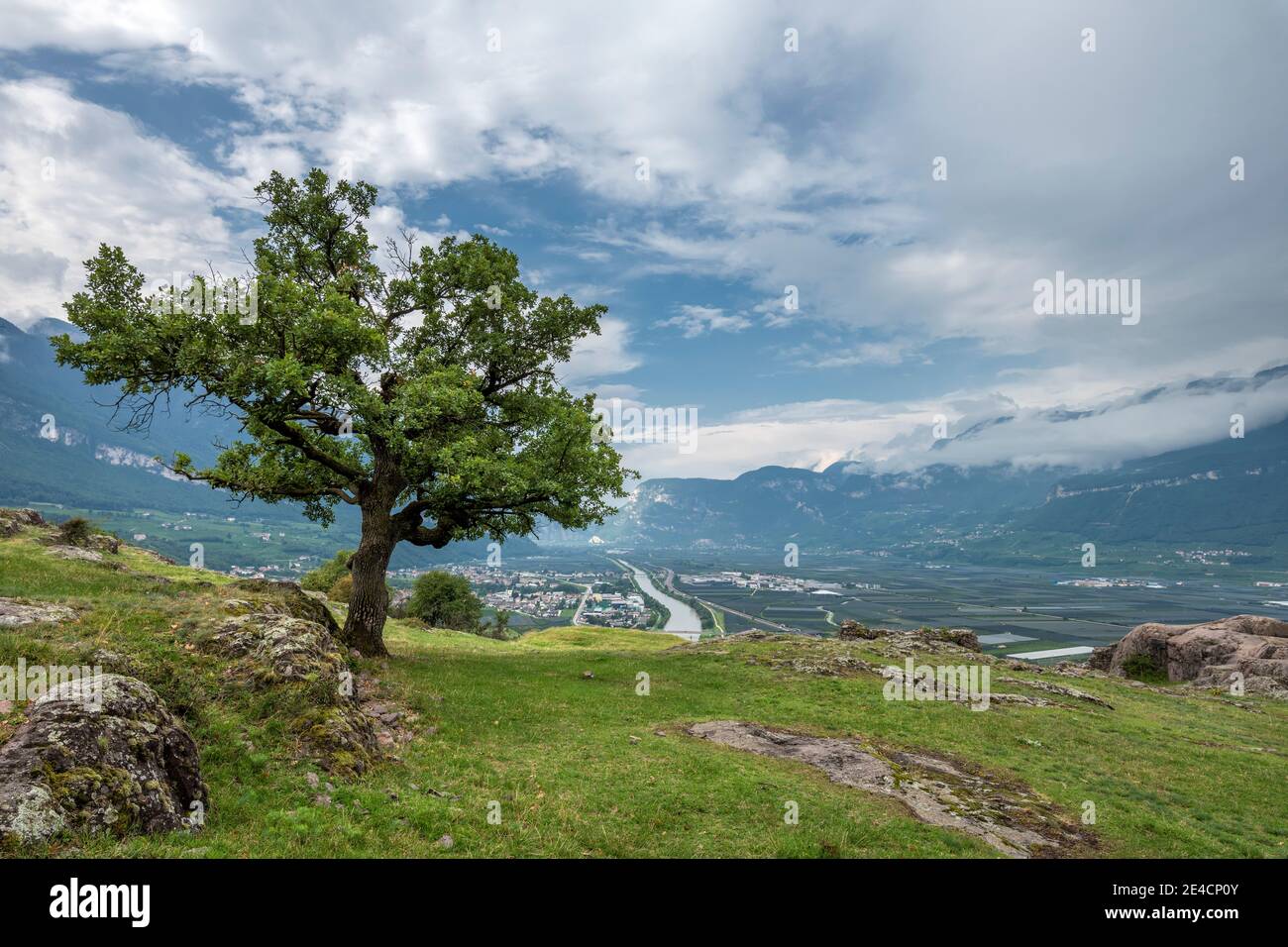 Montan, Provinz Bozen, Südtirol, Italien. Blick von Castelfeder auf die Südtiroler Tiefebene Stockfoto