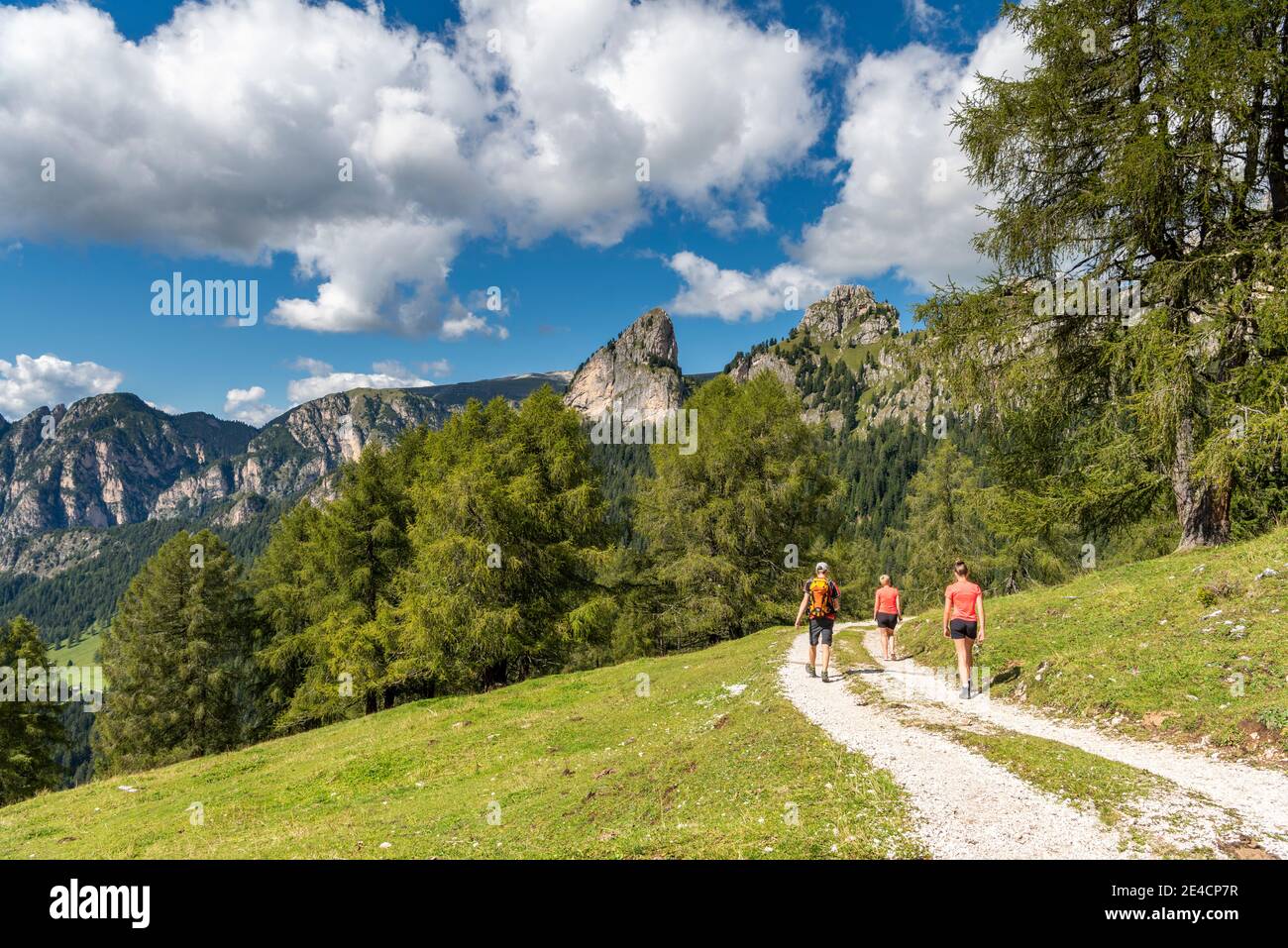 Tierers, Tierser Tal, Bozen, Dolomiten, Südtirol, Italien. Wanderer auf der Abfahrt von der Haniger Schwaige Stockfoto