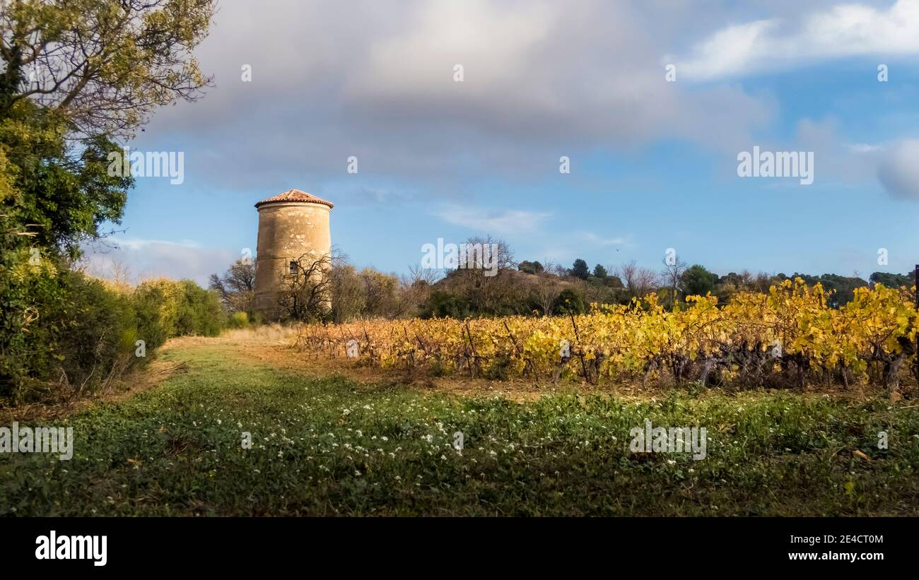 Alte Windmühle in Coursan im Herbst Stockfoto