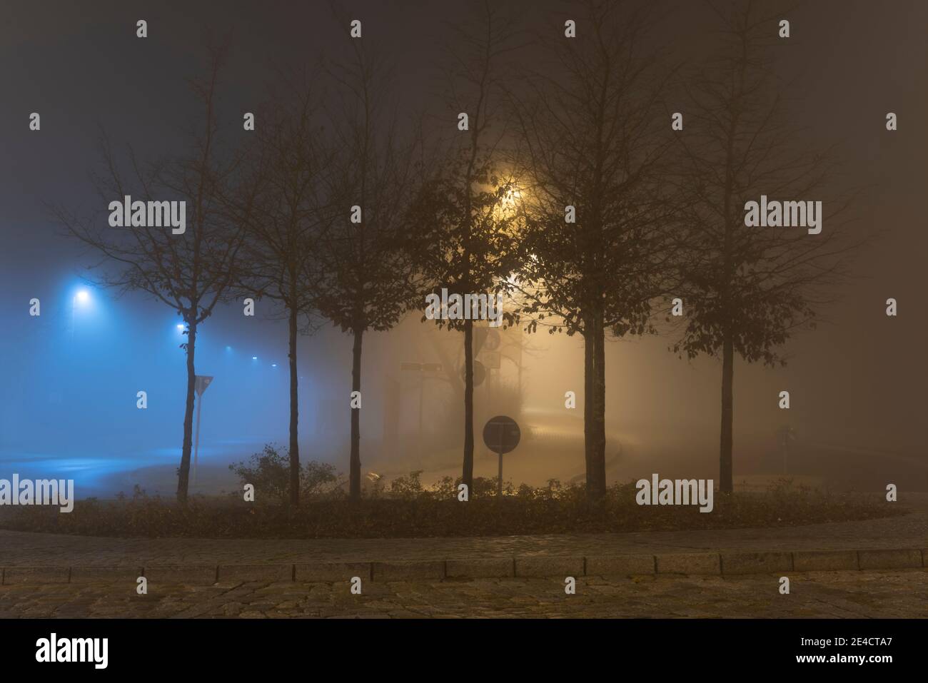 Nebel in den Straßen der Stadt Luckenwalde, Kreisverkehr Nachts mit Bäumen Stockfoto