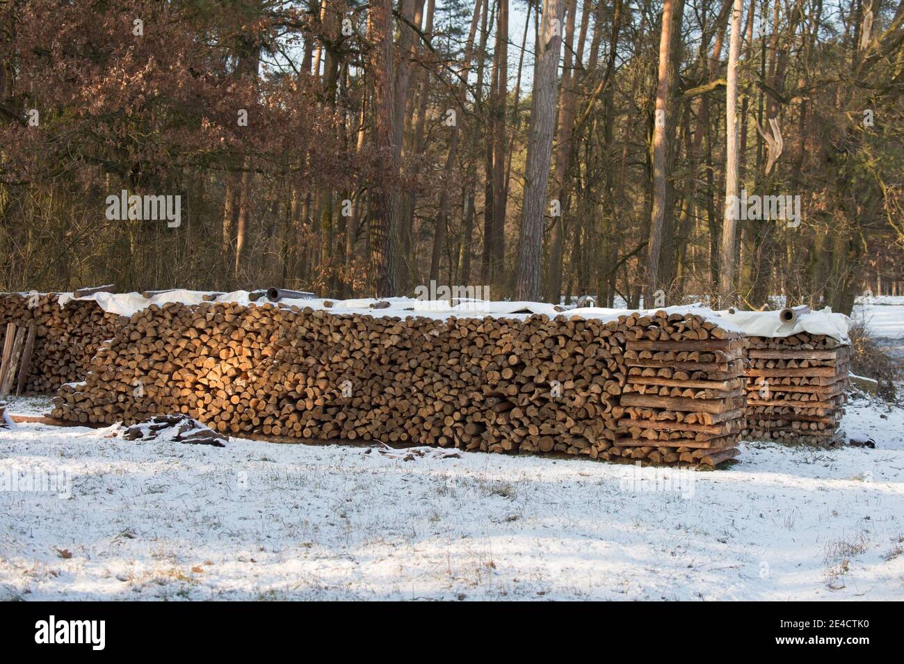 Winter Holzversorgung Stockfoto
